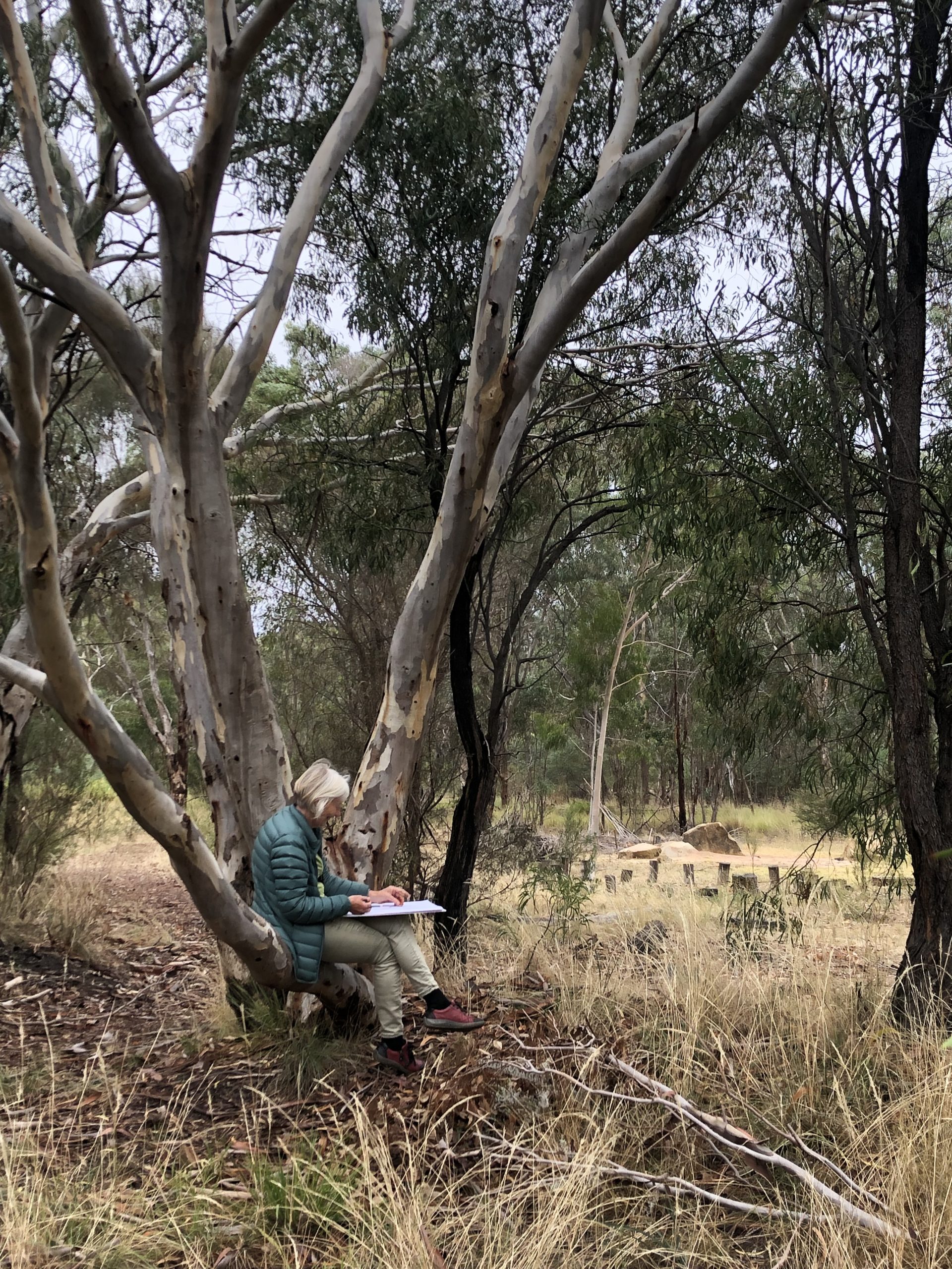 Observational Drawing with Anna Mackrell